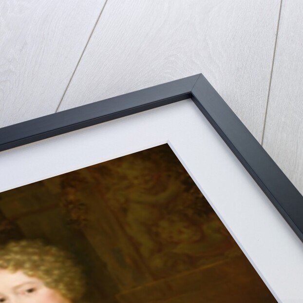 Portrait of a lady in a red dress, 1691 by Thomas van der Wilt