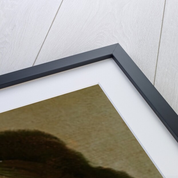 Study of an Old Woman, c.1600-1700 by Rembrandt Harmensz. van Rijn