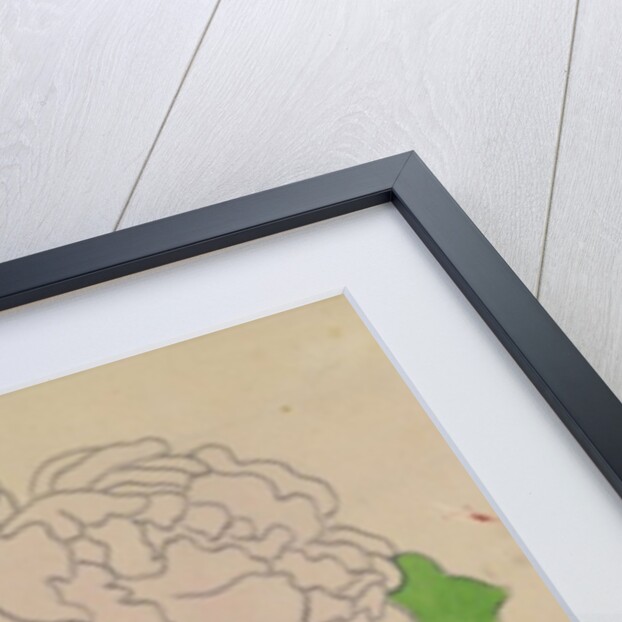 Chrysanthemums, c.1900 by Jozsef Rippl-Ronai