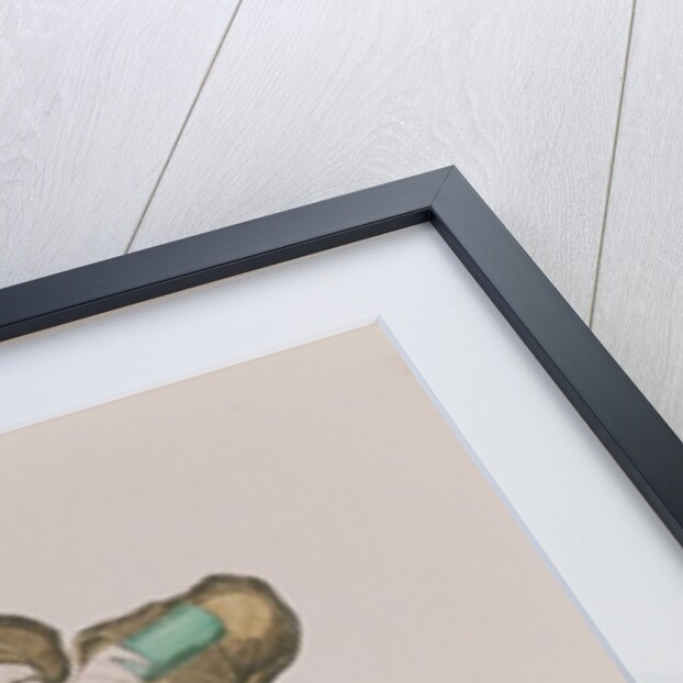 Mr Grimaldi as Clown, illuminating the entrance to Old Gutter Lane, pub. 1833 by English School