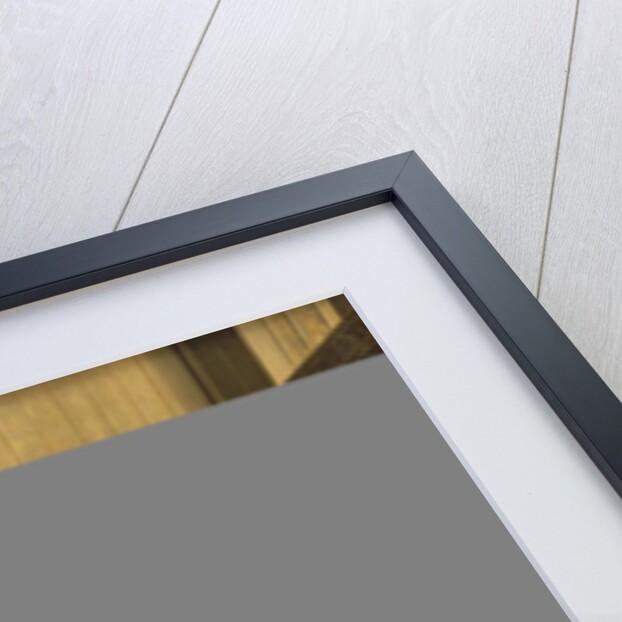 Rosie's Robin, late 19th century by Anonymous Anonymous