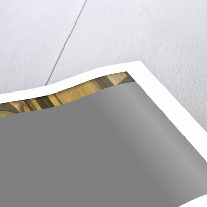 Rosie's Robin, late 19th century by Anonymous Anonymous