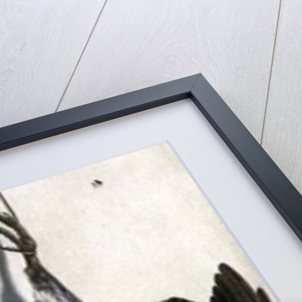 Trompe l'oeil of a black grouse and finches by Jacobus Biltius