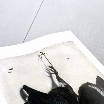 Trompe l'oeil of a black grouse and finches by Jacobus Biltius