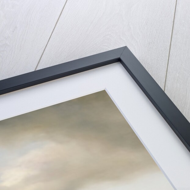 The Day's Catch by Philips Wouwermans or Wouwerman