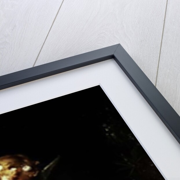 Love Conquers, 1880 by Leon Bazile Perrault