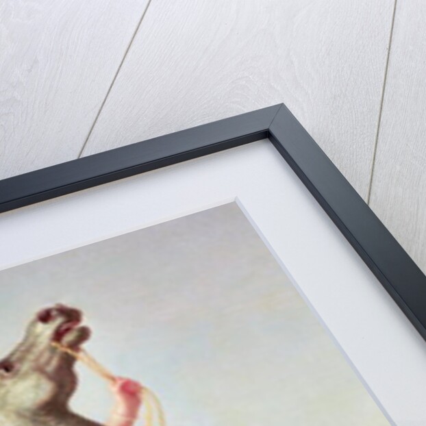 The Escape of Galatea by Michelangelo Maestri