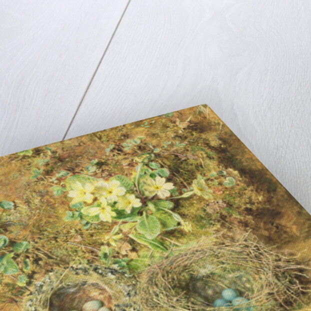 Primroses and Birds' Nests by William Henry Hunt