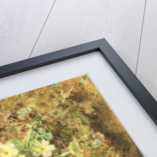 Primroses and Birds' Nests by William Henry Hunt