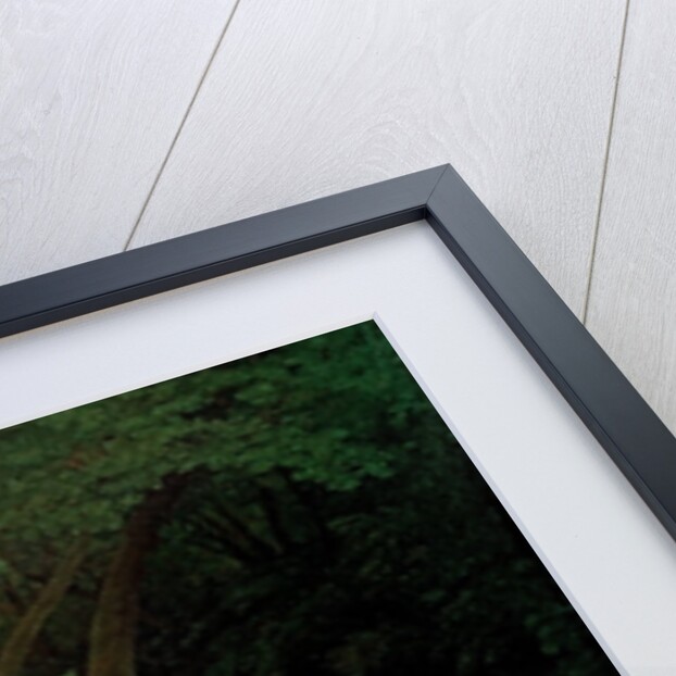 Disappointed love, 1821 by Francis Danby