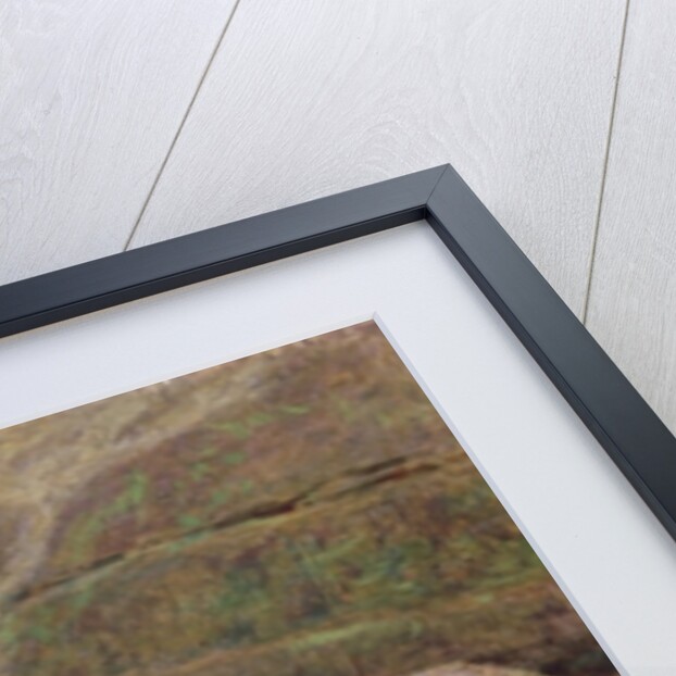 The Winkle Gatherer, 1869 by John Dawson Watson