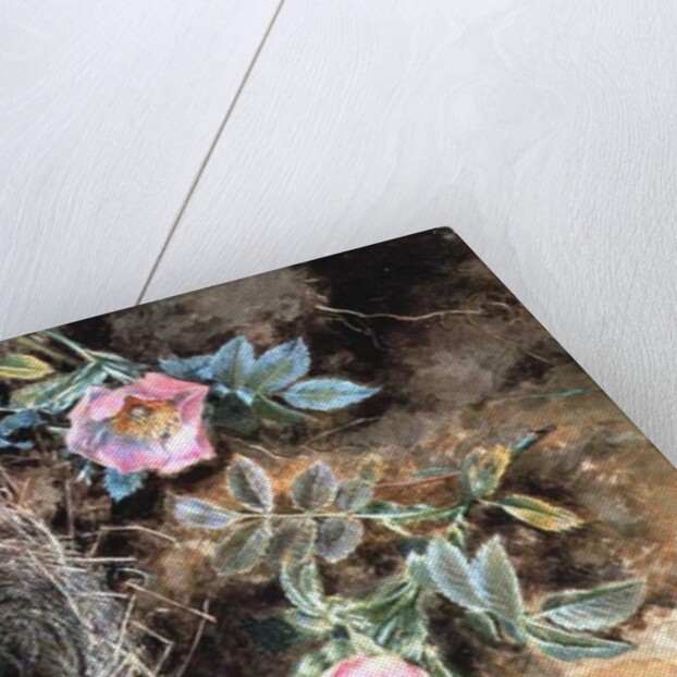 Wild Roses and Birds' Nests by William Henry Hunt