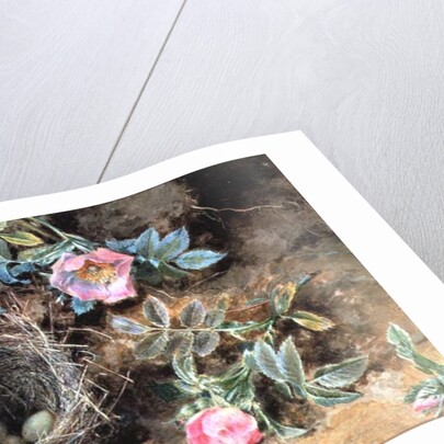 Wild Roses and Birds' Nests by William Henry Hunt