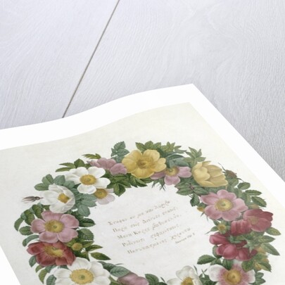 Christmas Roses by Pierre Joseph Redouté