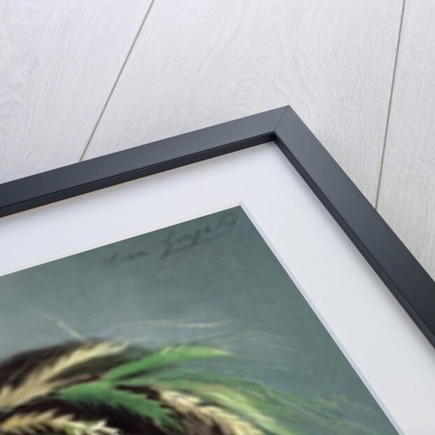 Portrait of a Girl holding a Sparrow by Eva Gonzales