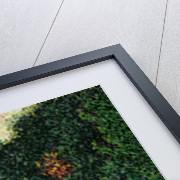 Forest near St. Tropez, 1902 by Paul Signac