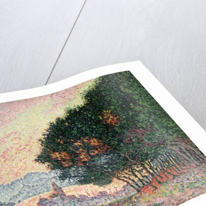 Forest near St. Tropez, 1902 by Paul Signac