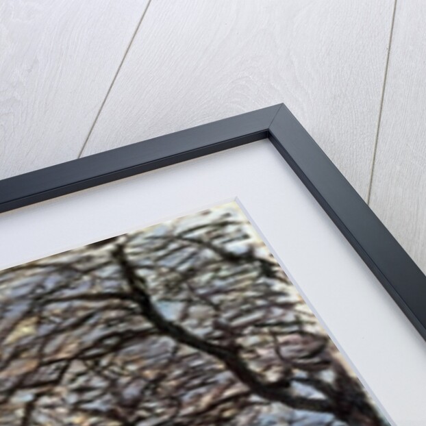 Landscape near Louveciennes, 1873 by Alfred Sisley