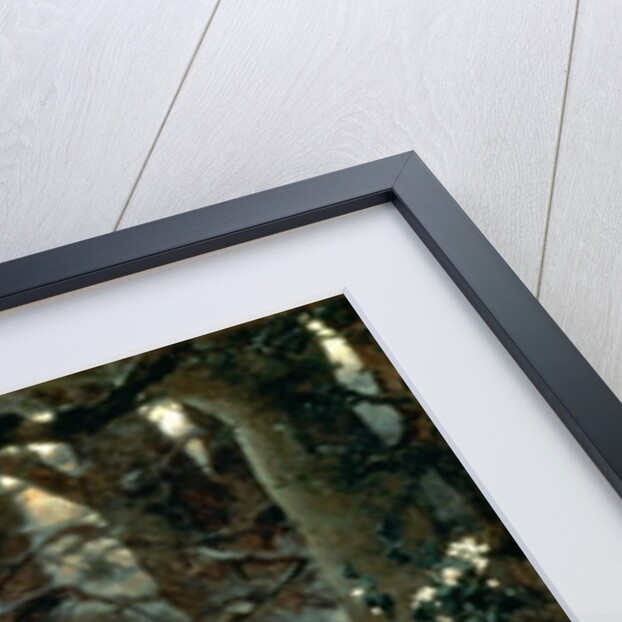 Prince Ivan on the Grey Wolf, 1889 by Victor Mikhailovich Vasnetsov