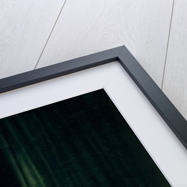 The Children of King Edward IV of England, 1852 by Hippolyte Delaroche