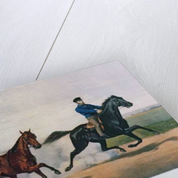 Flora Temple and Lancet racing on the Centreville Course, 1856 by N. and Ives J.M. (1824-95) Currier