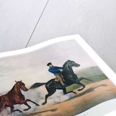 Flora Temple and Lancet racing on the Centreville Course, 1856 by N. and Ives J.M. (1824-95) Currier