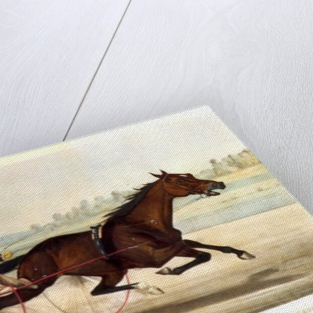 The King of the Turf, 'St. Julien', driven by Orrin A. Hickok, 1880 by N. and Ives J.M. (1824-95) Currier