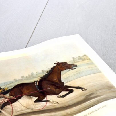 The King of the Turf, 'St. Julien', driven by Orrin A. Hickok, 1880 by N. and Ives J.M. (1824-95) Currier