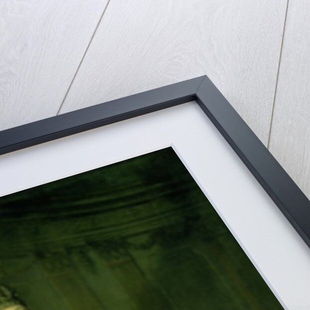 Portrait of the Empress Anna Ivanovna 1730 by Louis Caravaque