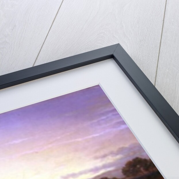 Ostriches, 19th century by Anonymous Anonymous