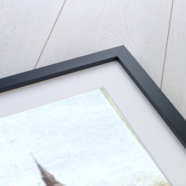 Westminster by Frederick E.J. Goff