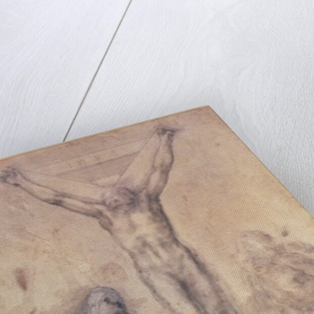 Inv.1895-9-15-509 Recto W.81 Study for a Crucifixion by Michelangelo Buonarroti
