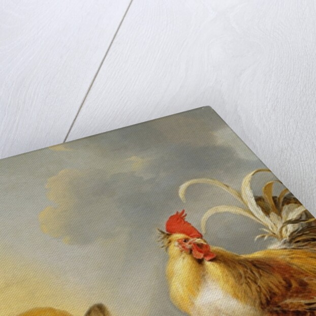 A Group of Farmyard Fowl, 1643 by Gysbert Hondecoeter