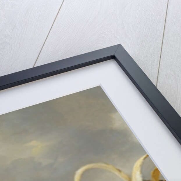 A Group of Farmyard Fowl, 1643 by Gysbert Hondecoeter