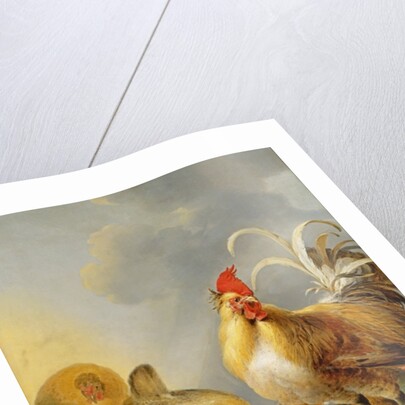 A Group of Farmyard Fowl, 1643 by Gysbert Hondecoeter