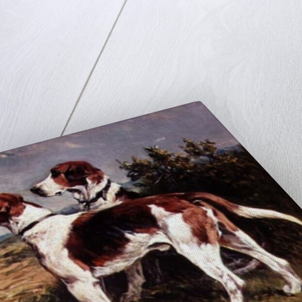 Two Hounds in a Landscape by John Emms