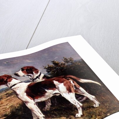 Two Hounds in a Landscape by John Emms