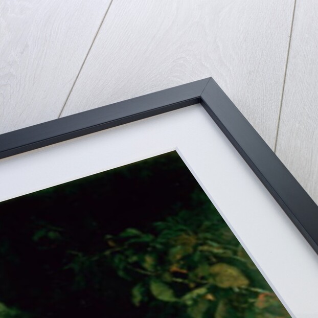 Children in the Wood by James Sant