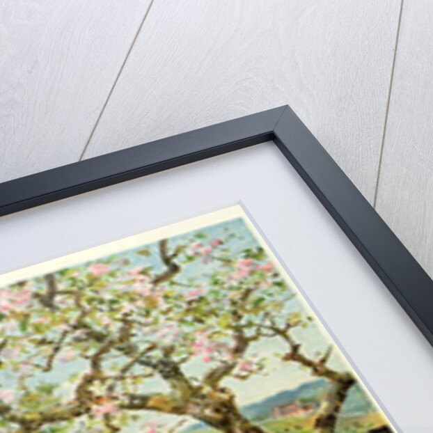 Spring Blossoms by William Stephen Coleman