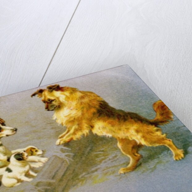 Puppies in the Straw, Victorian postcard by Anonymous