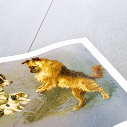 Puppies in the Straw, Victorian postcard by Anonymous