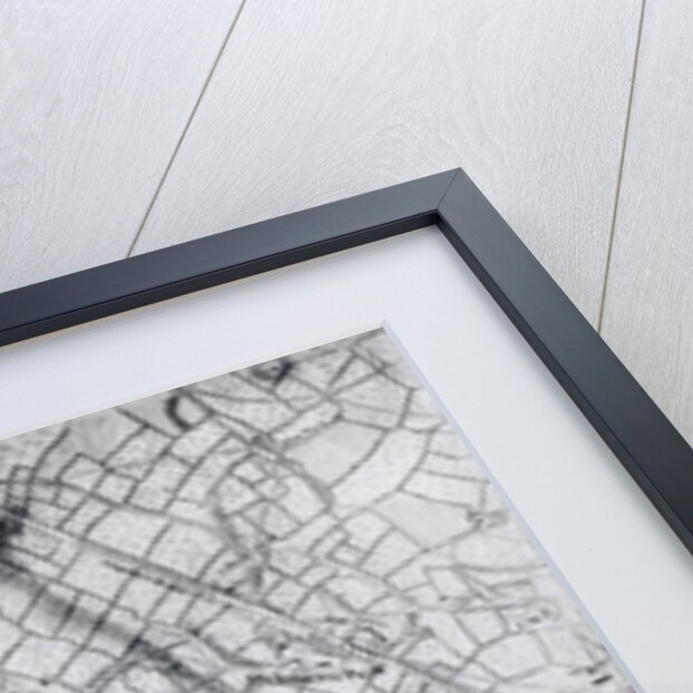 A section of a sheet from the survey of London and it's environs, 1741-5, pub. 1769 by John Rocque