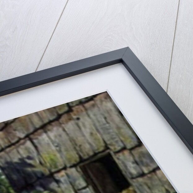 The Farmyard, 1898 by Carl Jutz