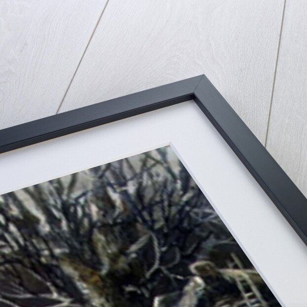 Timber Sledge in Winter, 19th century by German School