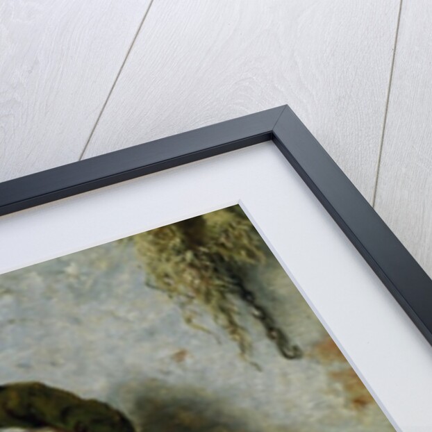 Feeding the Rabbits by Felix Schlesinger