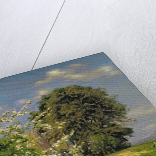 Spring Blossom, 1908 by Christian Zacho