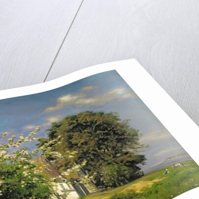 Spring Blossom, 1908 by Christian Zacho