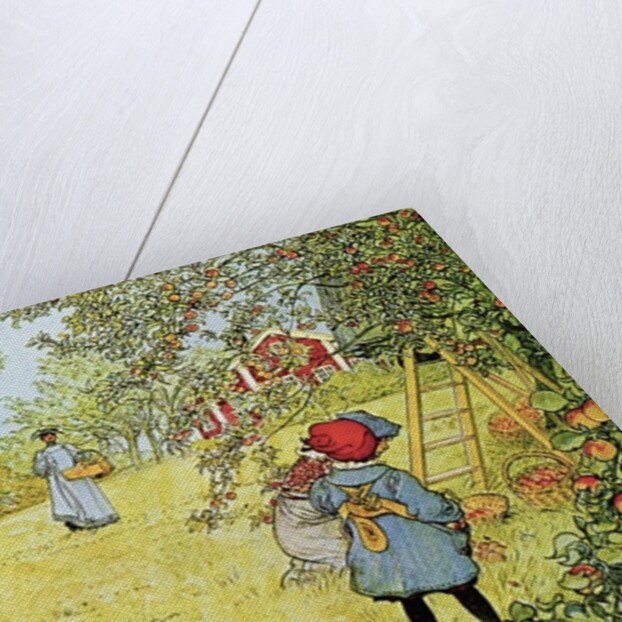 The Apple Harvest, 1903 by Carl Larsson