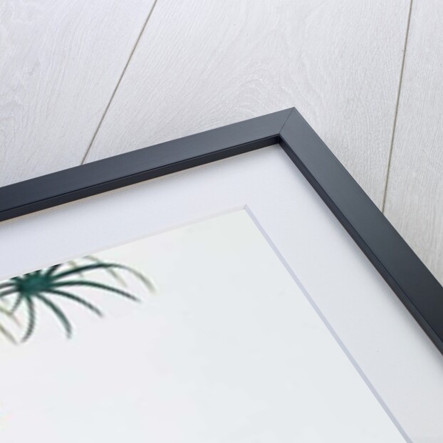 Green Magpie, Ch'ien-lung period by Qing Dynasty Chinese School