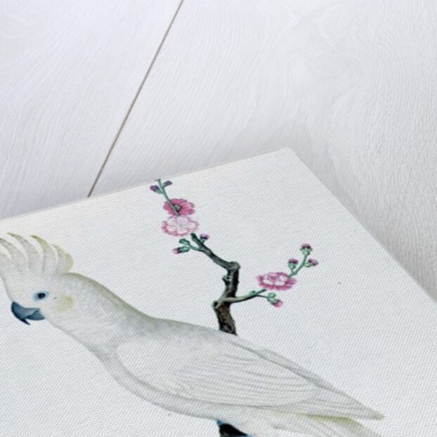Lesser Lemon Crested Cockatoo, perched on a sprig of flowering Japonica, Ch'ien-lung period by Qing Dynasty Chinese School